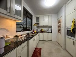 Jalan Kathi (D16), Terrace #518957121